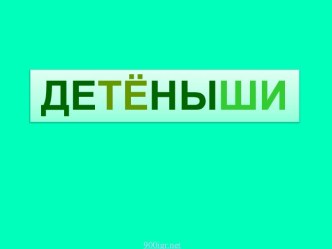 Детеныши