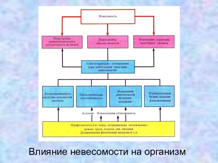 Влияние невесомости на организм