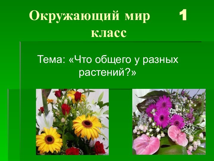 Окружающий мир   1 классТема: «Что общего у разных растений?»