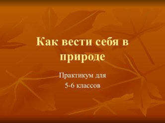 Как вести себя в природе