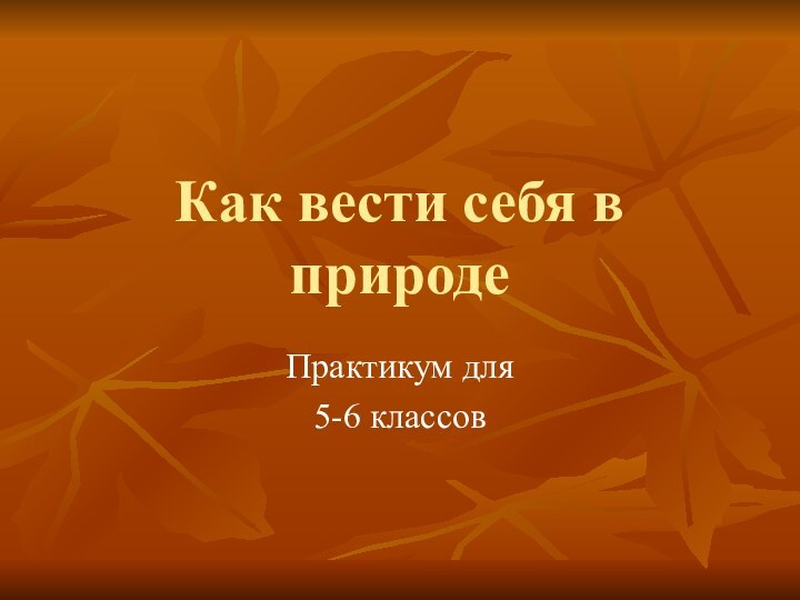 Как вести себя в природеПрактикум для5-6 классов