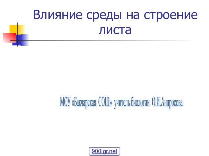 Влияние среды на строение листаМОУ «Бакчарская СОШ» учитель биологии О.И.Андросова