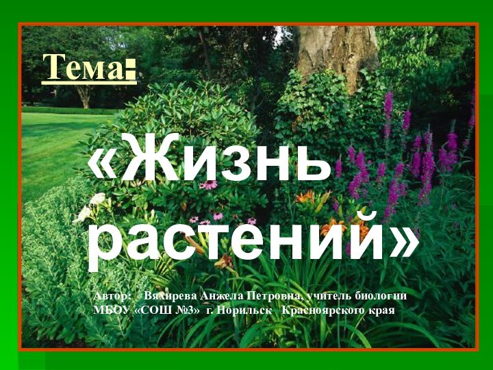 Тема:«Жизнь растений»Автор:  Вяхирева Анжела Петровна, учитель биологииМБОУ «СОШ №3» г. Норильск  Красноярского края