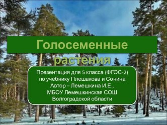 Голосеменные растения 5 класс