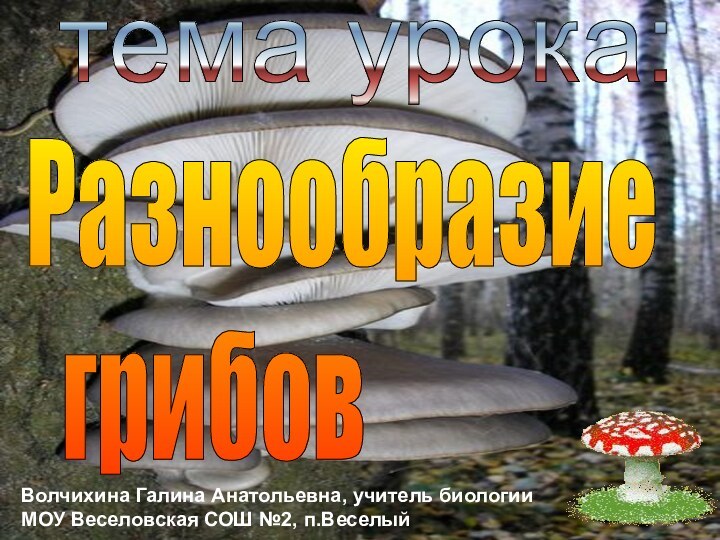 Волчихина Галина Анатольевна, учитель биологии МОУ Веселовская СОШ №2, п.Веселыйтема урока:Разнообразие