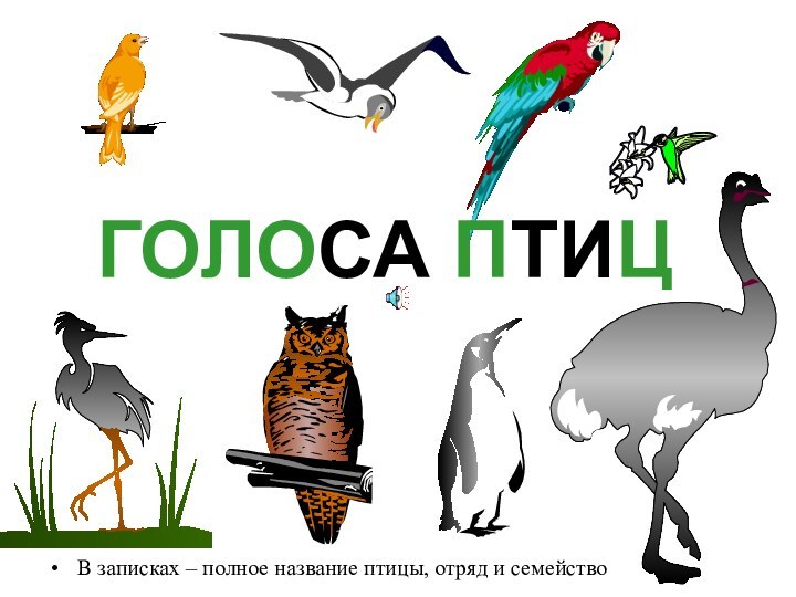 ГОЛОСА ПТИЦВ записках – полное название птицы, отряд и семейство