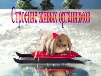 Строение живых организмов