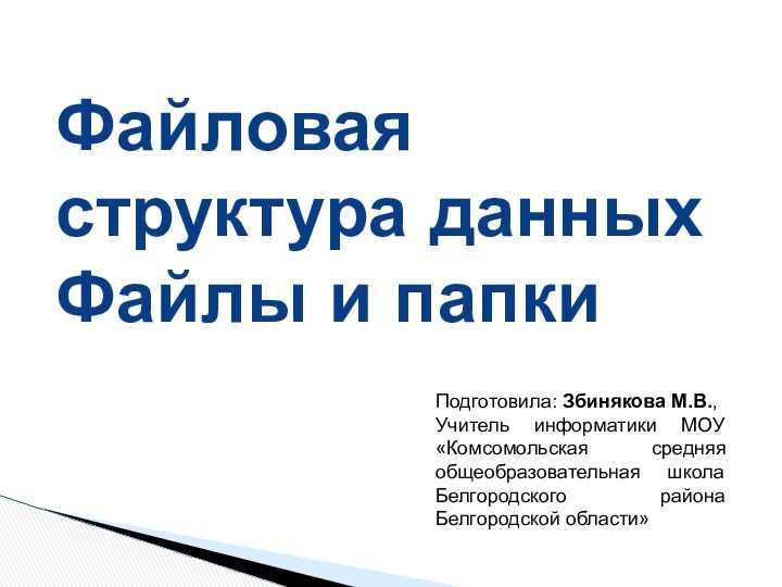 Файловая структура данных Файлы и папкиПодготовила: Збинякова М.В.,Учитель информатики МОУ «Комсомольская средняя