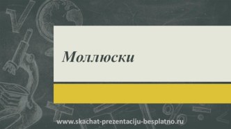 Моллюски