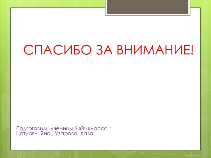 СПАСИБО ЗА ВНИМАНИЕ!Подготовили ученицы 6 «В» класса :