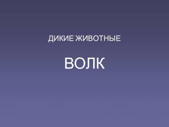 Дикие животные Волк