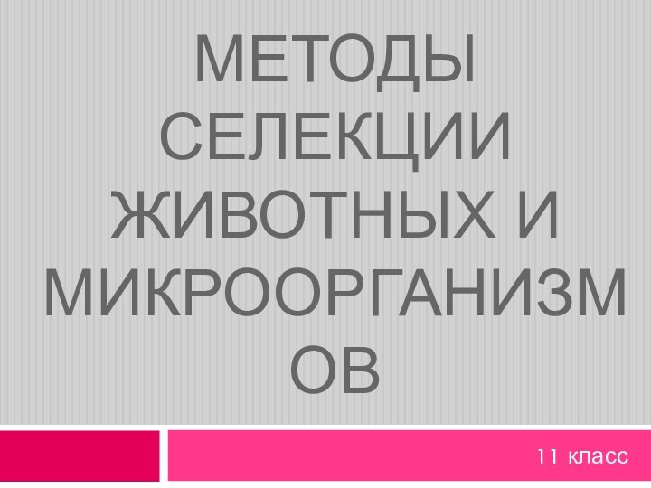 Методы селекции животных и микроорганизмов11 класс