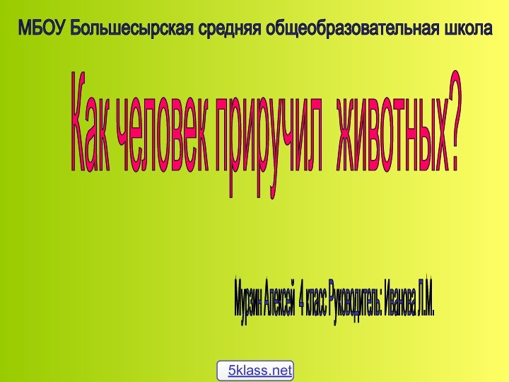 Как человек приручил животных? МБОУ Большесырская средняя общеобразовательная школа Мурзин Алексей 4