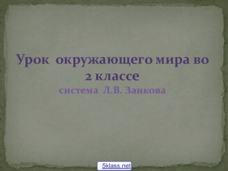 Состав планет Солнечной системы