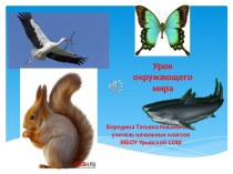 Презентация по окружающему миру на тему Рыбы