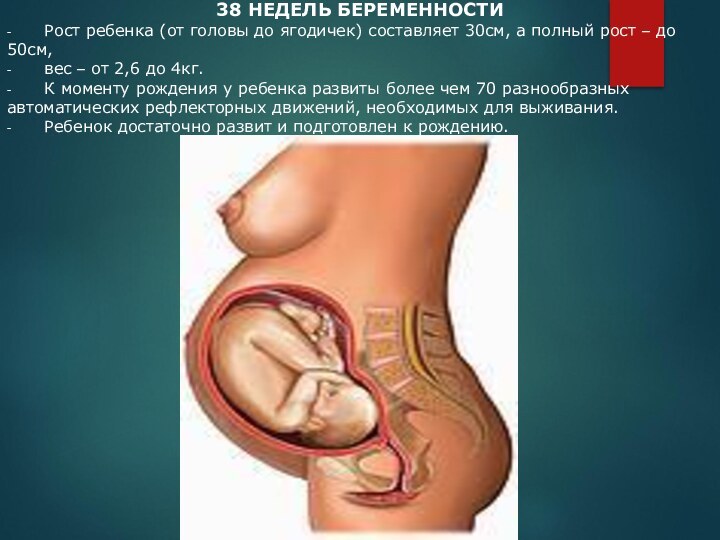 38 НЕДЕЛЬ БЕРЕМЕННОСТИ -         Рост ребенка (от головы до ягодичек) составляет 30см,