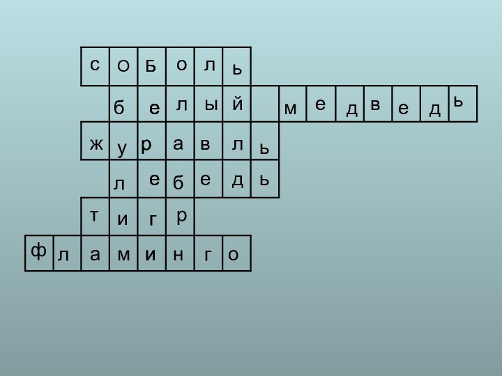 сОБольеблыймедведьжуравльлебедьтигрфламингоБерегиБе