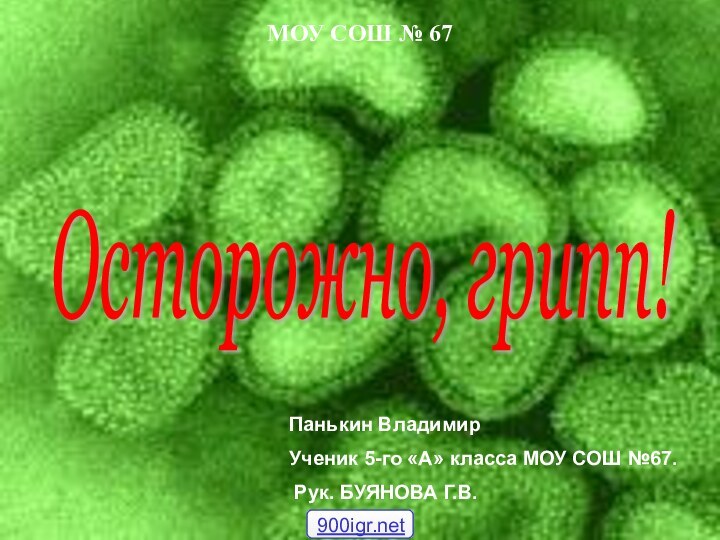 Панькин Владимир Ученик 5-го «А» класса МОУ СОШ №67. Рук. БУЯНОВА Г.В.МОУ