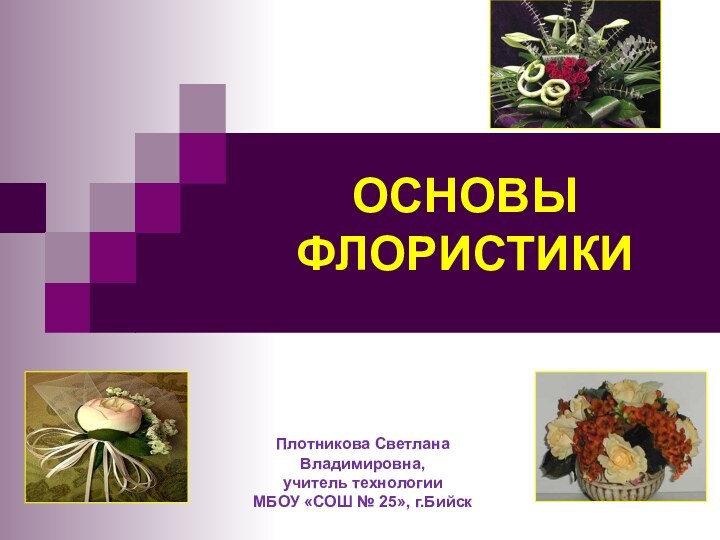 ОСНОВЫ ФЛОРИСТИКИПлотникова Светлана Владимировна,учитель технологииМБОУ «СОШ № 25», г.Бийск