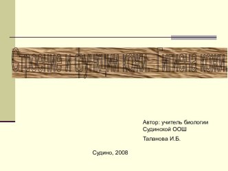 Строение и функции кожи. Гигиена кожи