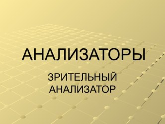 Анализаторы. Зрительный анализатор