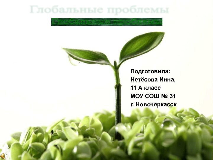 Подготовила: Нетёсова Инна,11 А классМОУ СОШ № 31г. НовочеркасскГлобальные проблемы