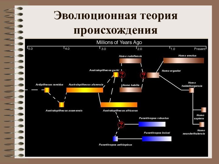 Эволюционная теория происхождения