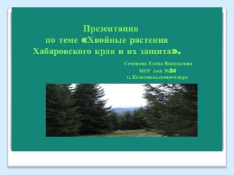 Хвойные растения Хабаровского края и их защита