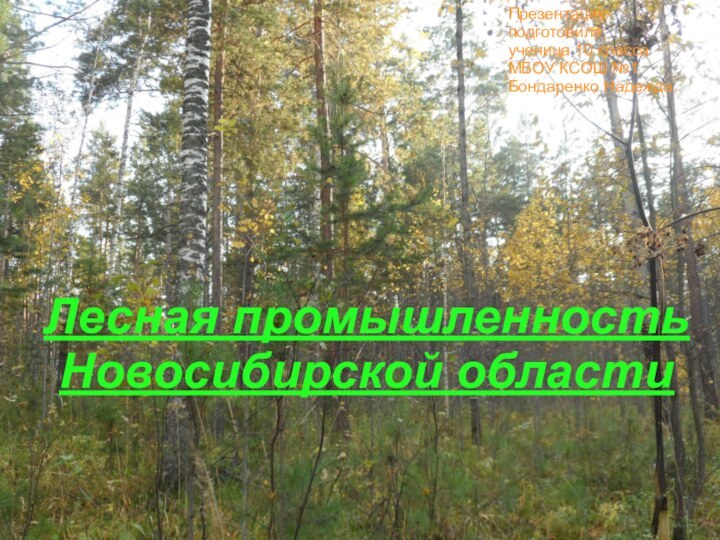 Лесная промышленность Новосибирской области Презентацию подготовила:ученица 10 классаМБОУ КСОШ №1 Бондаренко Надежда.