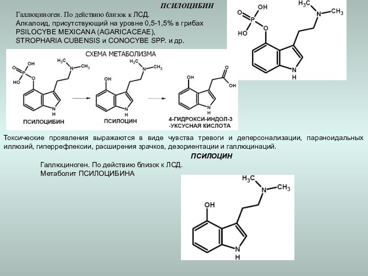 ПСИЛОЦИБИНГаллюциноген. По действию близок к ЛСД.Алкалоид, присутствующий на уровне 0,5-1,5% в грибахPSILOCYBE
