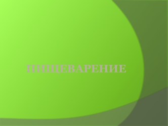 Пищеварение