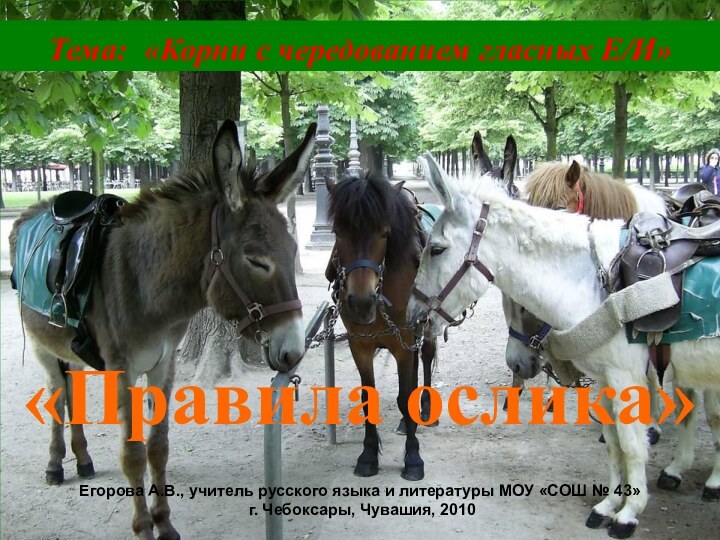 Тема: «Корни с чередованием гласных Е/И»«Правила ослика» Егорова А.В., учитель русского языка