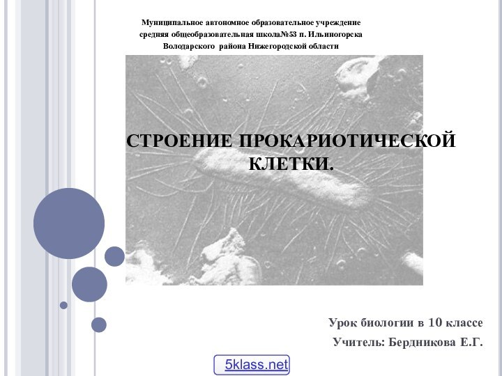 СТРОЕНИЕ ПРОКАРИОТИЧЕСКОЙ КЛЕТКИ.Урок биологии в 10 классеУчитель: Бердникова Е.Г.Муниципальное автономное образовательное