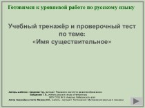 Учебный тренажёр и проверочный тест по теме: Имя существительное