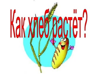 Как хлеб растёт?