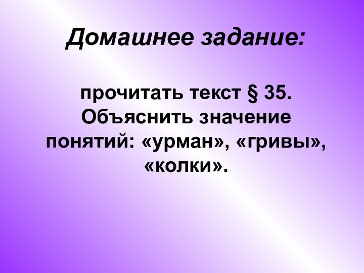 Домашнее задание:  прочитать текст § 35. Объяснить значение понятий: «урман», «гривы», «колки».