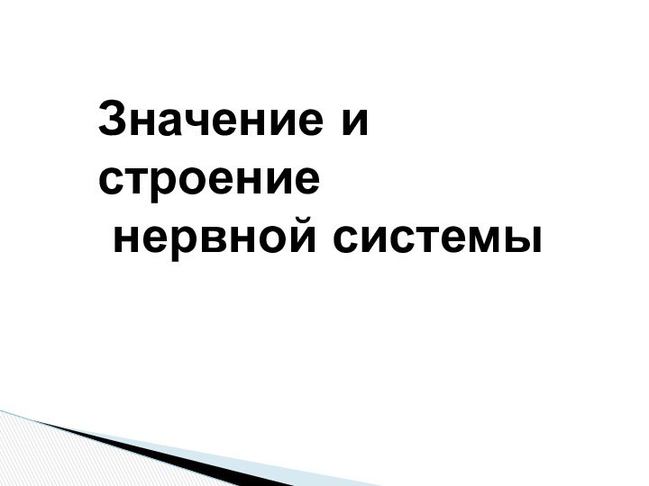 Значение и строение нервной системы