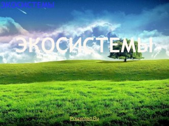 Экосистемы