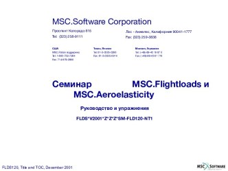 MSC.Flightloads