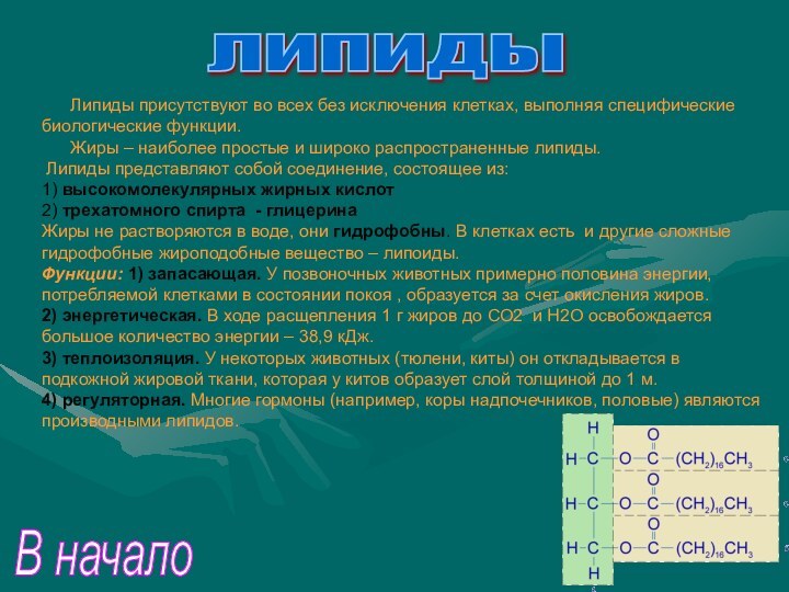 липиды    Липиды присутствуют во всех без исключения клетках, выполняя