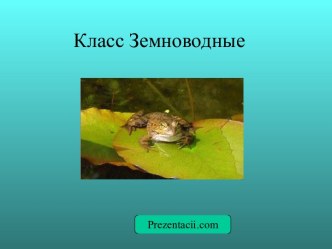 Класс Земноводные