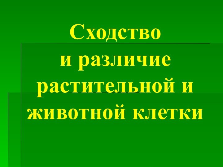 Сходство  и различие растительной и животной клетки