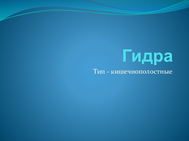 ГидраТип - кишечнополостные