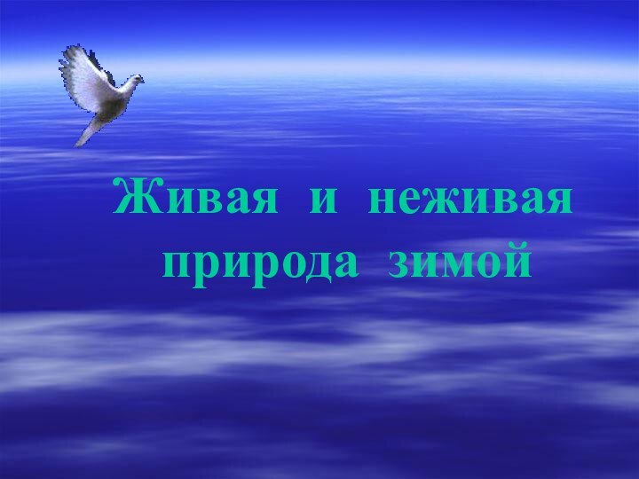 Живая и неживая      природа зимой