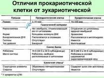 Отличия прокариотической клетки от эукариотической