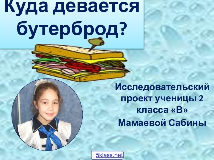 Куда девается бутерброд? Исследовательский проект ученицы 2 класса «В»Мамаевой Сабины