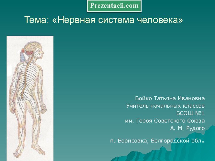 Тема: «Нервная система человека» Бойко Татьяна Ивановна Учитель начальных классовБСОШ