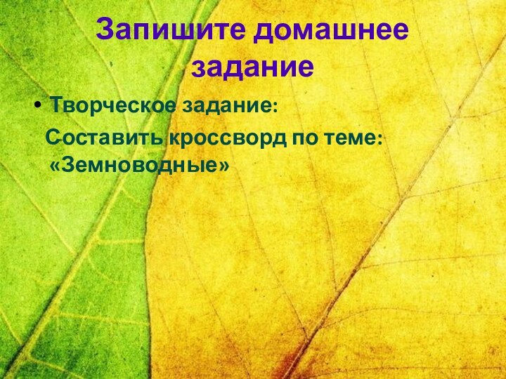 Запишите домашнее заданиеТворческое задание:  Составить кроссворд по теме: