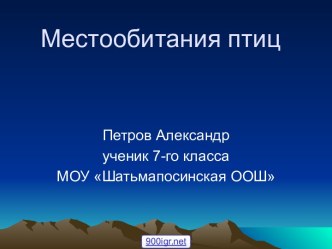 Птицы 7 класс