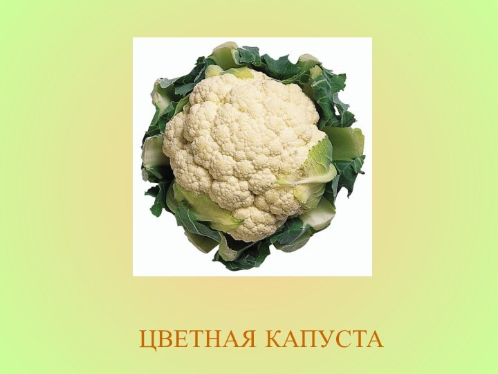 ЦВЕТНАЯ КАПУСТА